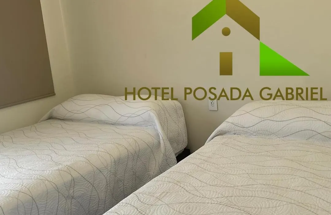 Hotel Posada Gabriel-1