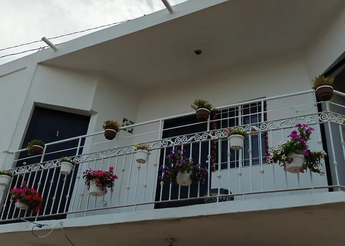 Posada De Lucy Mazatlán